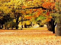 Природа