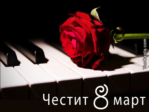 Честит 8 март