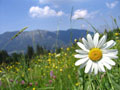 Природа